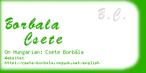 borbala csete business card